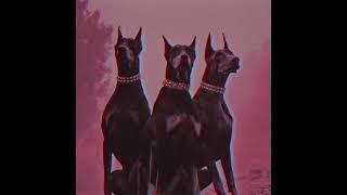 [FREE FOR PROFIT] ZILLAKAMI TYPE BEAT - SAVE YOUR PRAYERS | Hard Dark Trap Metal Type Beats 2021