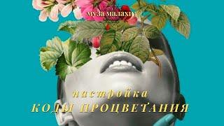 Женская сонастройка с золотым потоком изобилия и процветания.  Женский монастырь в Лумбини