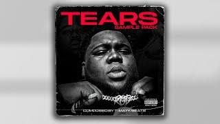 FREE ROD WAVE SAMPLE PACK - "TEARS" ( Emotional Piano Samples )