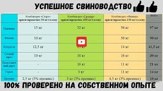 Бизнес на свиньях. Выгодно ли заниматься свиноводством, затраты на откорм свиней