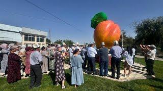 Баткен шаарына 1 миллион сомго өрүктүн айкели орнотулду