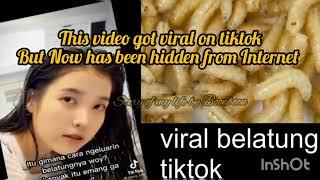 viral belatung viral di tiktok video || begini spoilernya || viral belatung