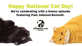 Pam Johnson-Bennett, Certified Cat Behavior Consultant