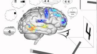 Spaun - Raven's Progressive Matrices neural model