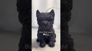 Black Dog Candle ASMR‍ #candle #candles #candlemaking #diy #candlebusiness #dog #black #asmr