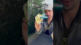 Mouse Trap vs Hand