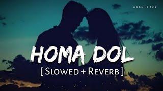 Homa Dol (Slowed + Reverb) - Saad Lamjarred, Neeti Mohan | Anshul3zx