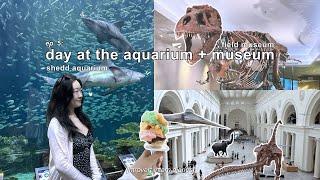 introvert intern diaries | ep. 5: a day in chicago aquarium + museum vlog 🫧