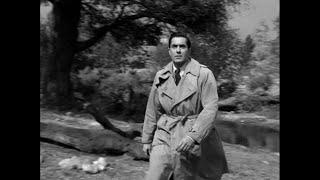 The Luck Of The Irish 1948 Tyrone Power & Anne Baxter