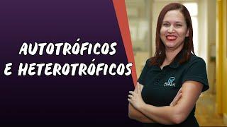 Autotróficos e Heterotróficos - Brasil Escola