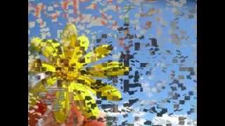 Spring College International 11 Anniversary Video
