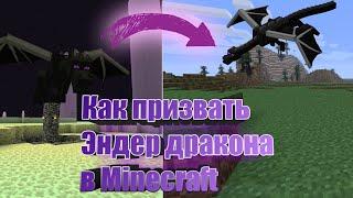 призываю Эндер дракона в Minecraft | Как призвать Эндер дракона с помощью команд гайд