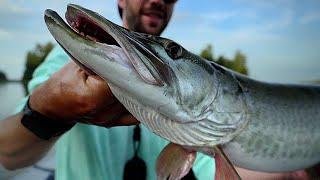 Fishing for EPIC MONSTERS! - Eagle Lake, Ontario Pt.1