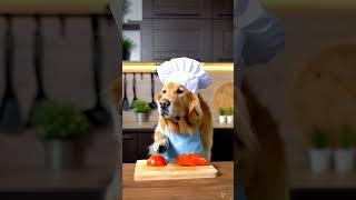 In a cozy kitchen, a golden retriever wearing a white chef's hat and a blue apron stands at the tabl