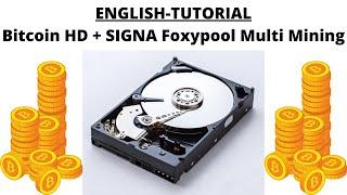 English Tutorial: BitcoinHD and SIGNA (HDD Multi Mining) on Foxypool