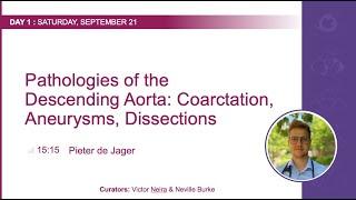 TPES 2024: Dr.  Pieter De Jager "Pathologies of the descending aorta"