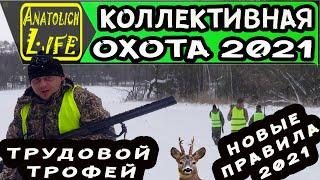 Охота 2021. Коллективная охота на косулю! Первый трофей года.