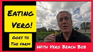 Living in Vero Beach - The best organic farms - Ye Ole Davis Family Farms - @verobeachbob