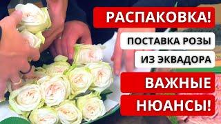  РАСПАКОВКА ПОСТАВКИ РОЗЫ ИЗ ЭКВАДОРА! Что нужно учитывать и делать, когда принимаем поставку?