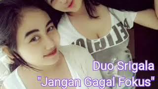 Dua Srigala "Jangan Gagal Fokus"