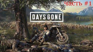 Days Gone на ПК прохождение - обзор. Стоит ли играть?