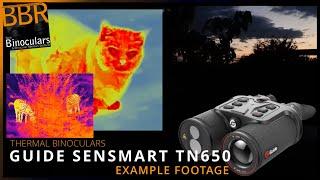 Guide TN650 Thermal Binoculars - Example Footage