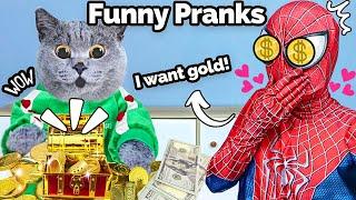 Must Try Oscar's BEST FUNNY Challenges! | Oscar‘s Funny World | New Funny Cat Videos 2023