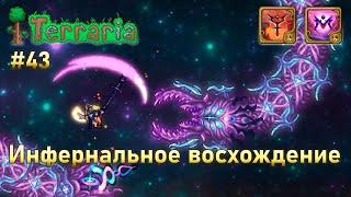 Инфернальное восхождение воина 43 | Пожиратель Богов | Terraria infernum mod melee