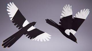 Low Poly Bird: Magpie (Stylized Character for Unreal Engine & Unity)