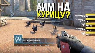 ЧИТЫ НА КУРИЦУ? - ПАТРУЛЬ CS:GO