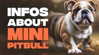 Miniature Bulldog: A Tiny Version of a Classic Breed