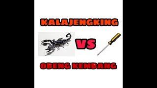 Kalajengking vs Obeng plus