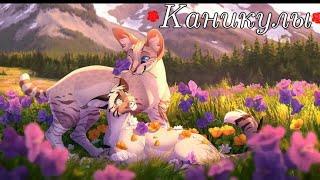 Коты Воители клип: Каникулы