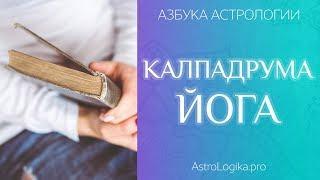 Калпадрума йога. Азбука астрологии. Светлана Будина.