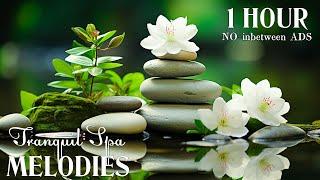 Best Spa Music for Stress Relief and Meditation – Calm Your Mind and Rejuvenate 