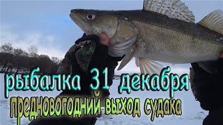 Предновогодняя рыбалка - 31 декабря! Выход судака!  За полчаса - поймали 6 штук! Клевал на блёсны!