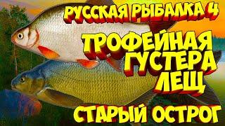 русская рыбалка 4 - Лещ Густера озеро Старый Острог - рр4 фарм Алексей Майоров russian fishing 4