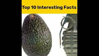 top 10 interesting facts in telugu #shorts#mgl facts Telugu 