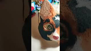 Calico mask!! #art #artsandcrafts #craft #calico #mask #not #furry #not #therian #no #hate