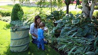 Summer Garden Cleanup! ️// Garden Answer