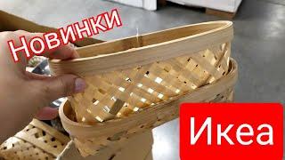 ИКЕА  Декор Канцелярия Новинки сентябрь 2021