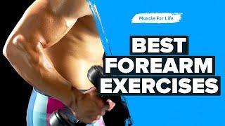 How To Train Your Forearms (Best Exercises and Workouts)