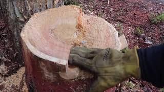 How to Cut Down a Tree