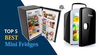 5 Best Mini Fridges : Mini Fridges Reviews 2020