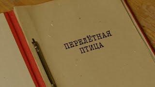 Перелётная птица | Вещдок. Особый случай. Чужое богатство