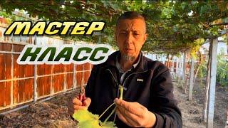 Мастер Класс… Бак Сыры:+996555887633