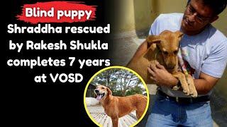 Blind puppy Shraddha rescued by Rakesh Shukla completes 7 years at VOSD