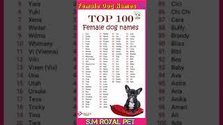 Female dog names  comment your dog names  #2024 #doglover #777 #dachshundpuppy @PetcareKannada