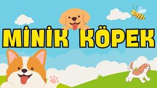 Minik Köpekler - Çocuk Şarkıları