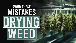 Avoid these 5 Mistakes when Drying Cannabis!